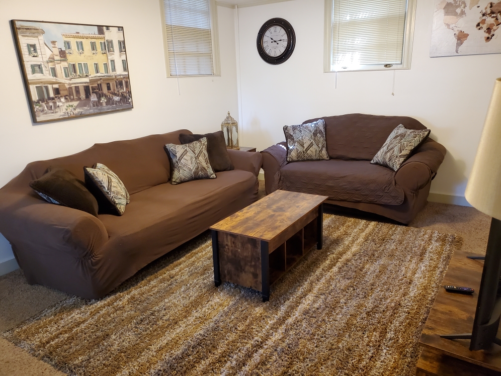 Living Room w/sofa, two closets, loveseat and Roku TV