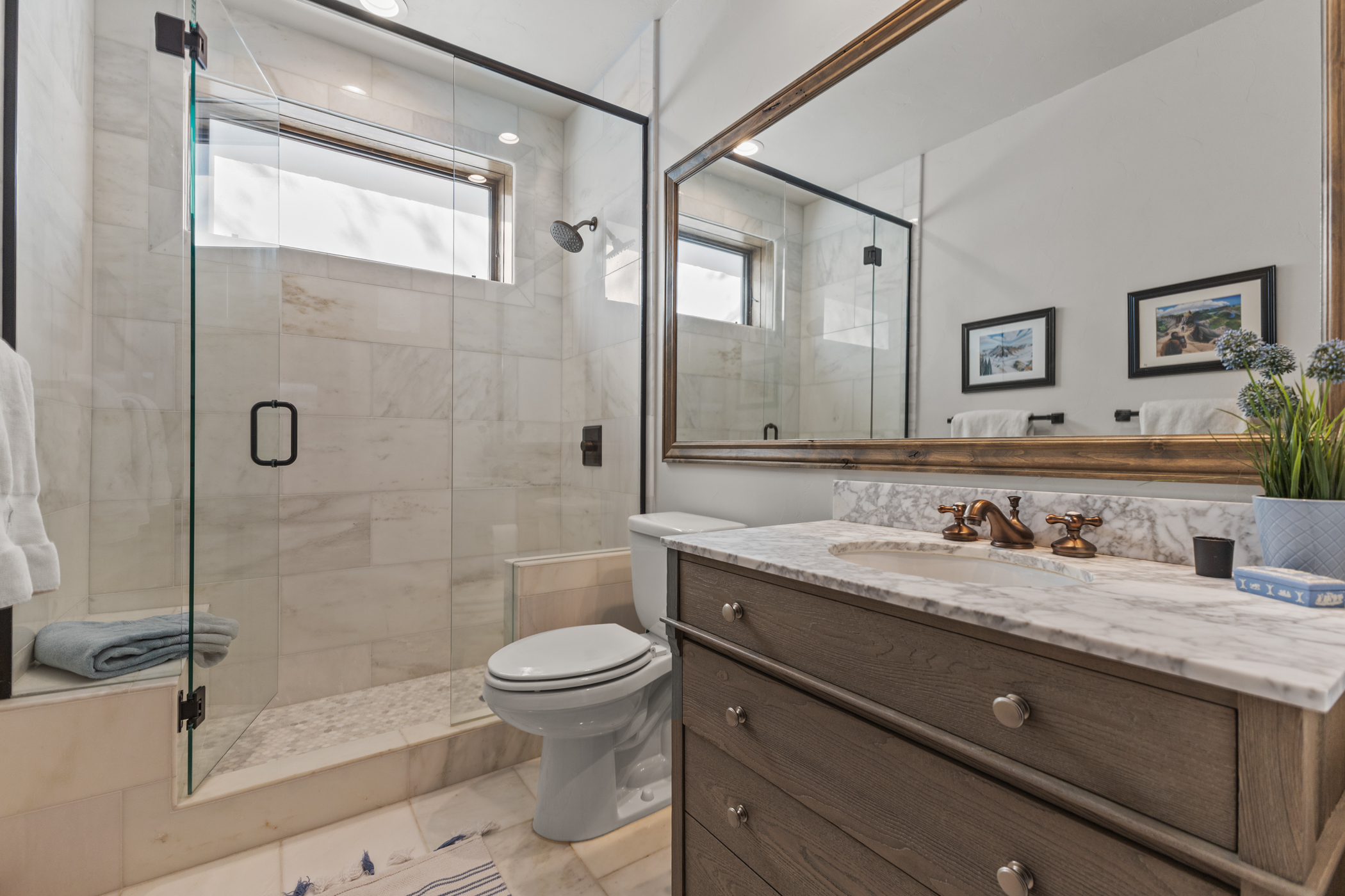 Lower Level Bathroom