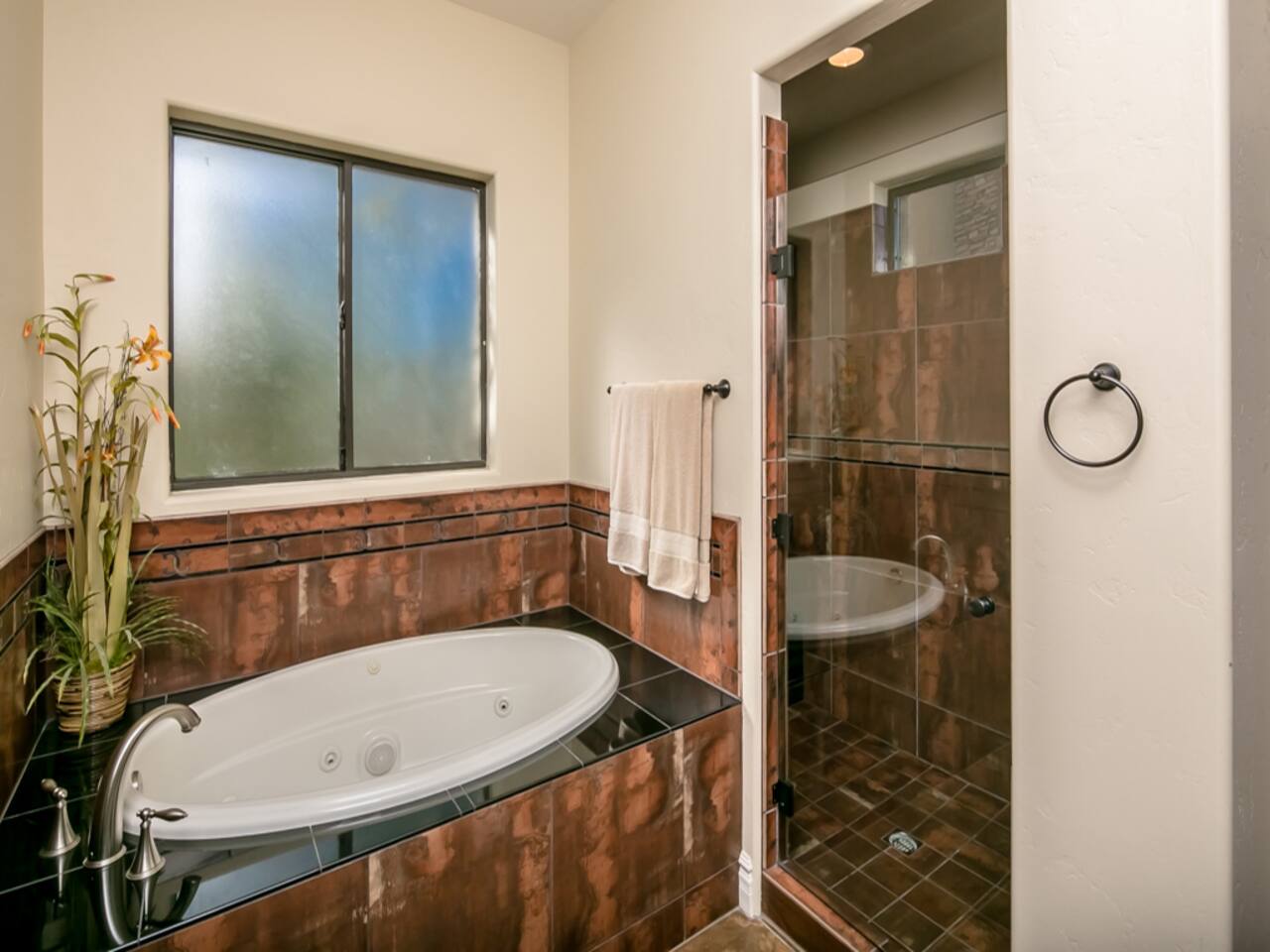 Master Bathroom Tub and Shower