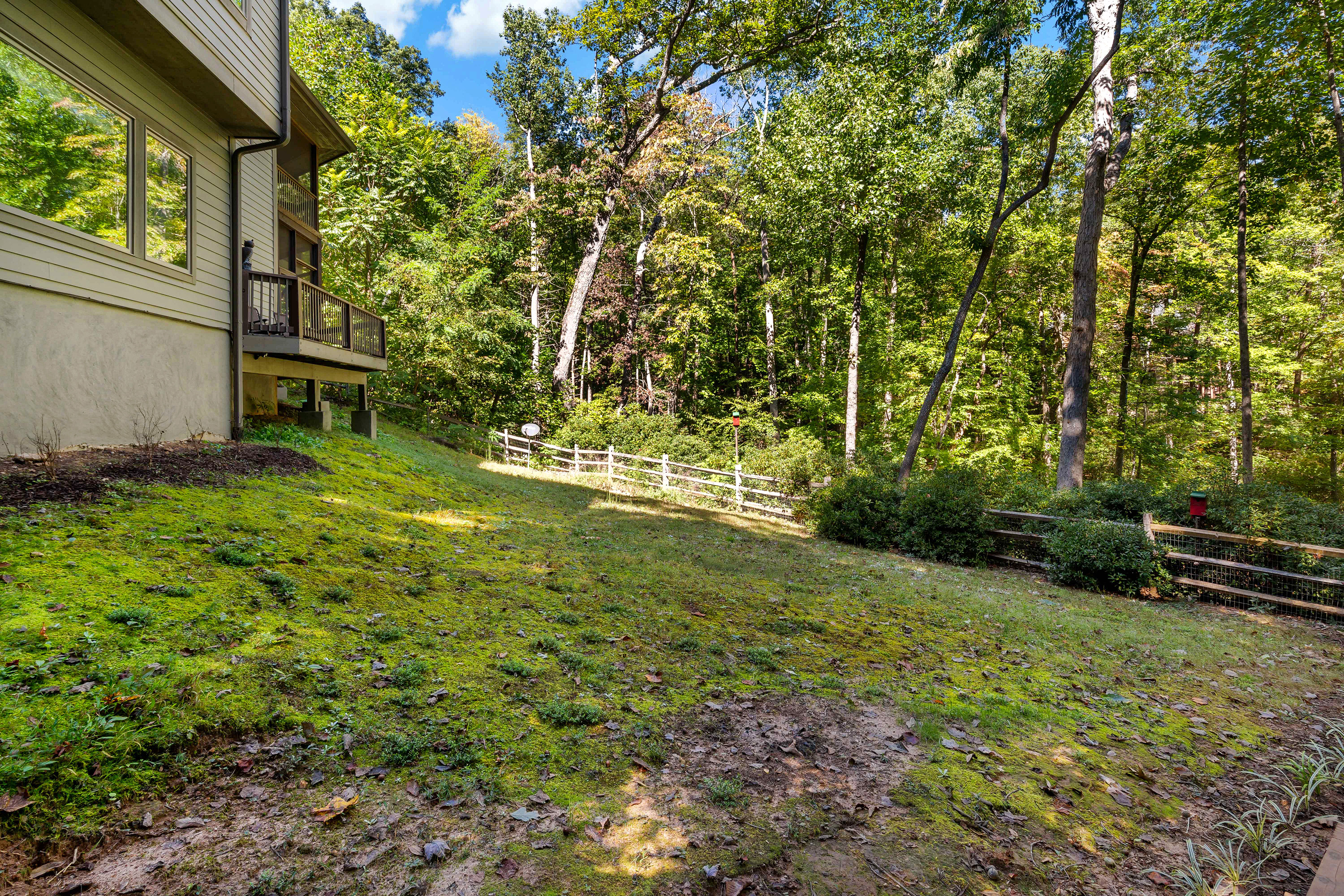 Spacious backyard