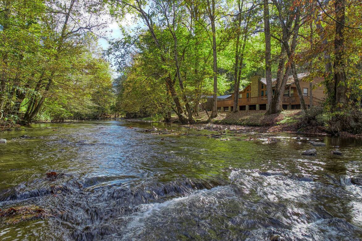 View from the creek
