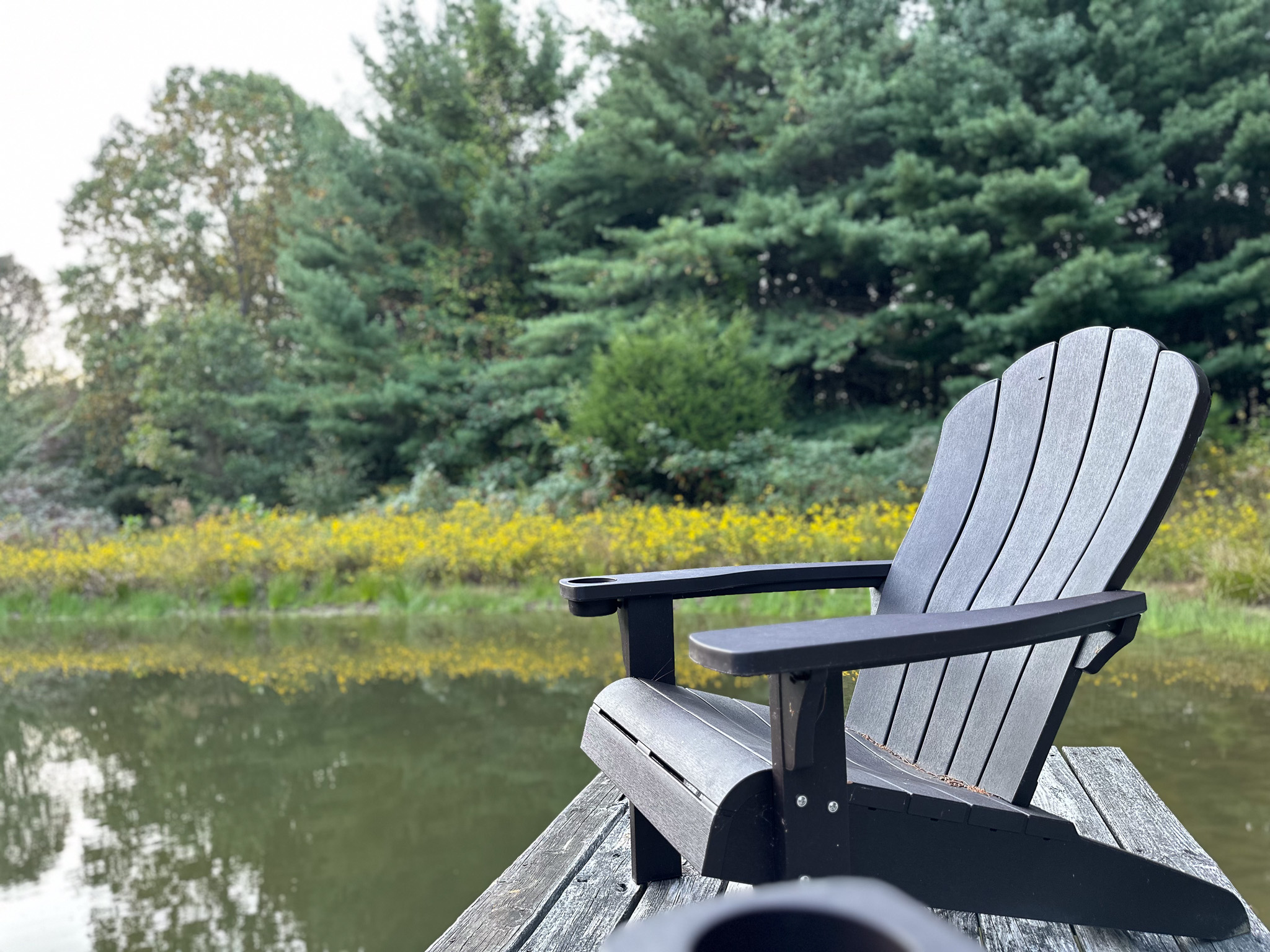 Fish in our private pond (catch and release)