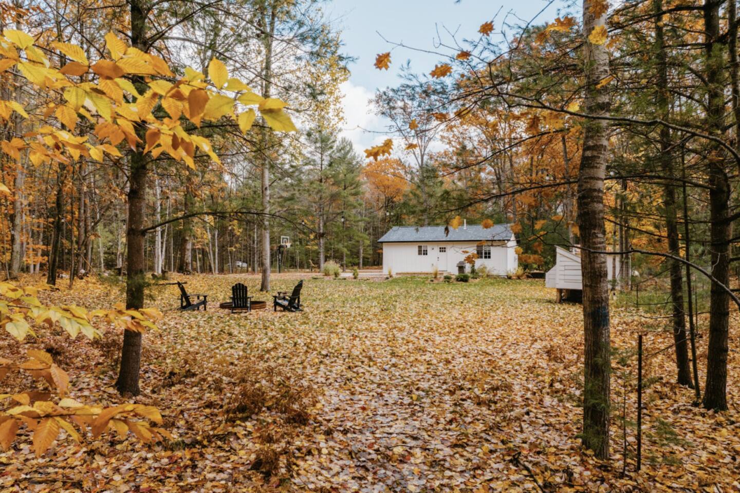 Windcatch Group- Woodlands Bungalow