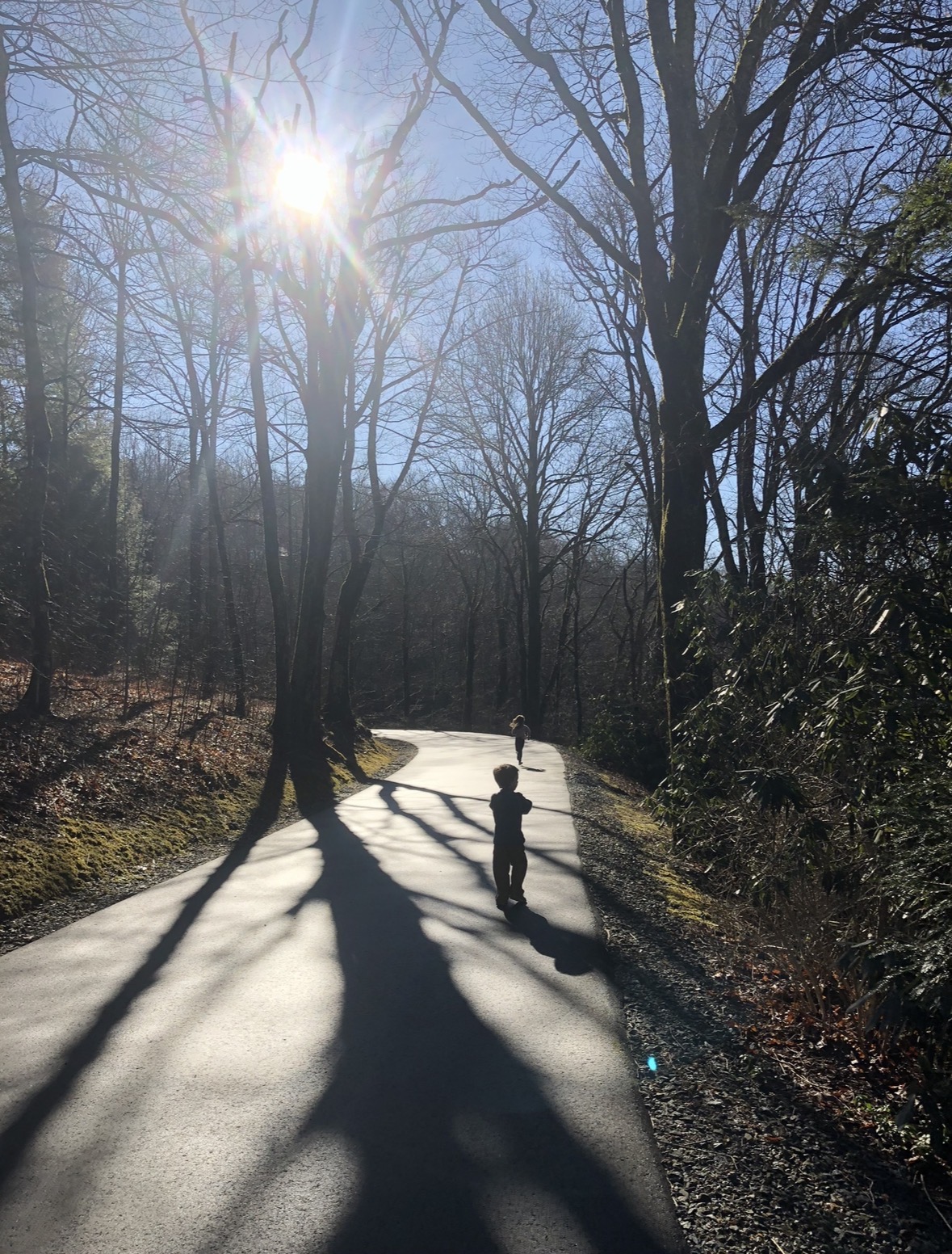 Misty Mountain is a perfect neighborhood for walkers - paved roads, nice variety of inclines and stunning views!