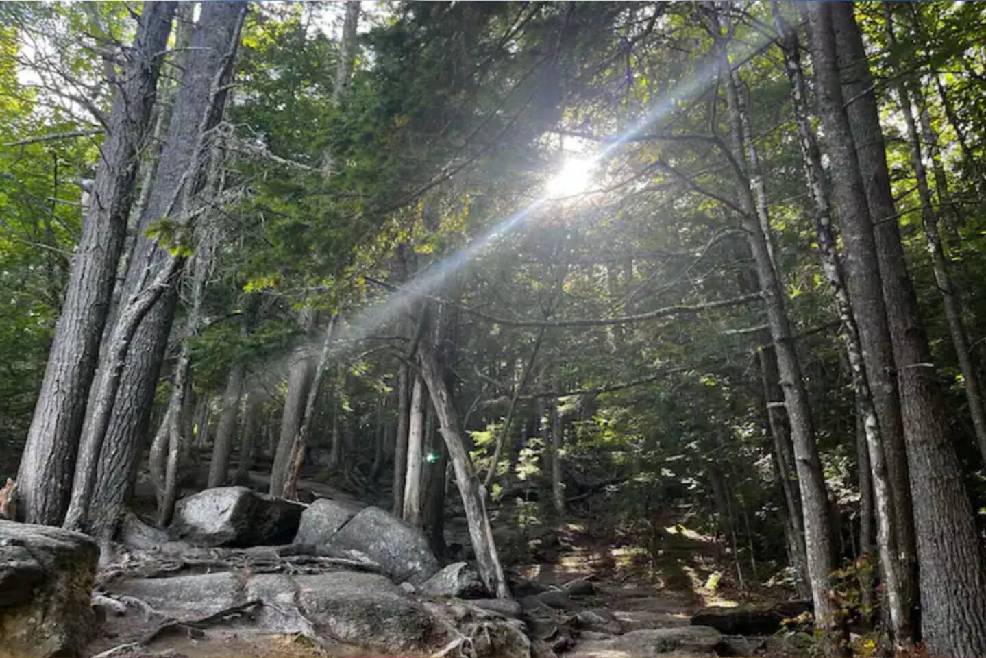 Amazing photo from Diana’s bath which is only a 20 minute drive down the road!