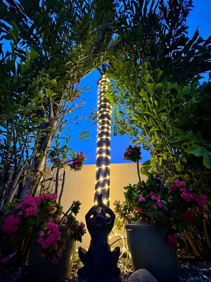 Nighttime vibes poolside.