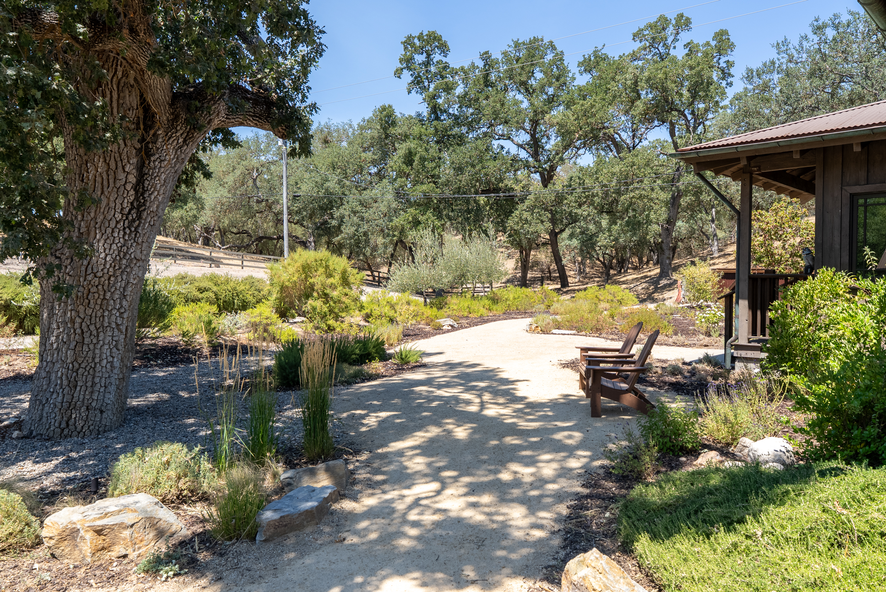 Your stay comes with a view—centuries-old oaks at Oaks & Madeira