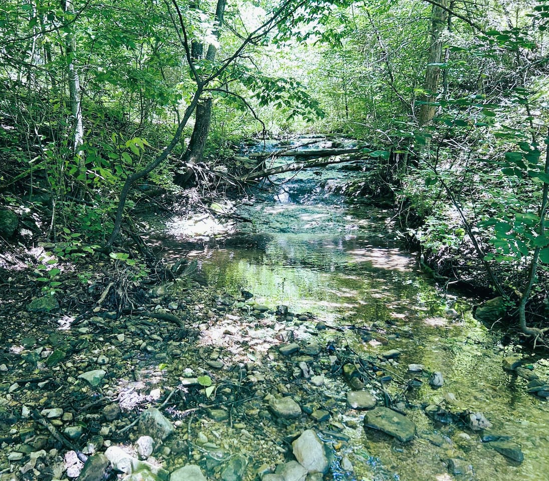 Natural Paradise: Enjoy the serene stream on property surrounded by lush greenery.