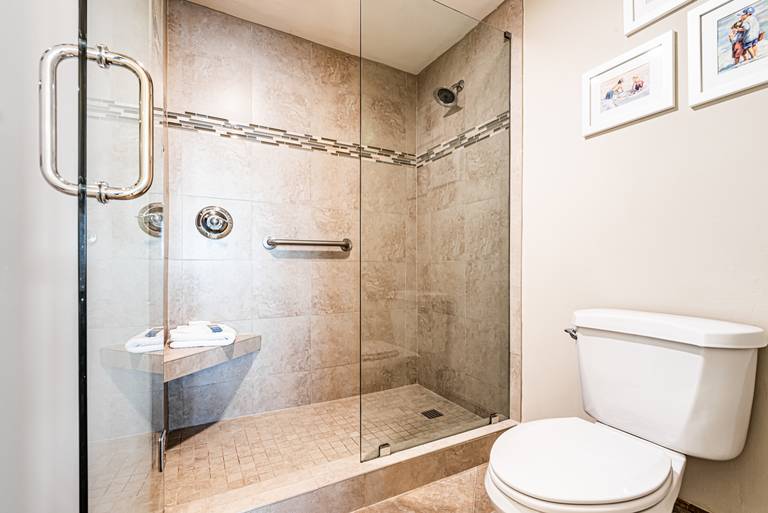 Master Bath Shower