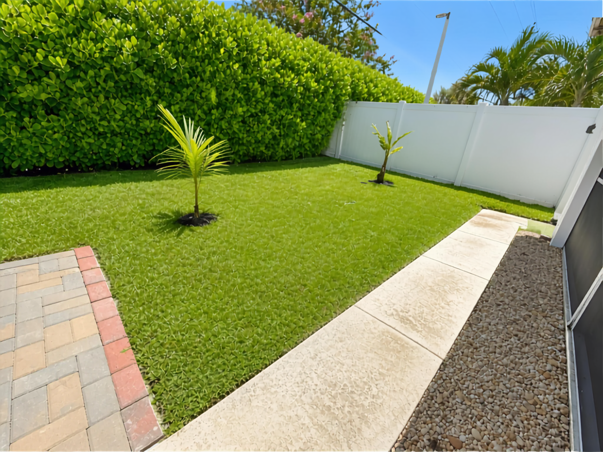 Backyard
