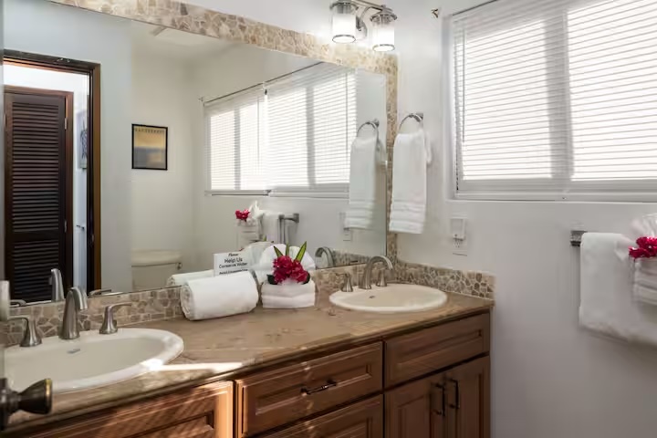 The ensuite has double vanities and large shower