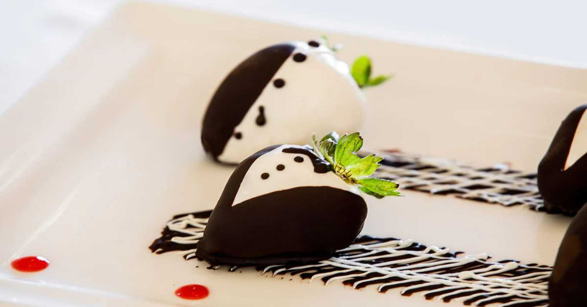 Dining at Pueblo Bonito Rose, Vacation Travel Exclusives