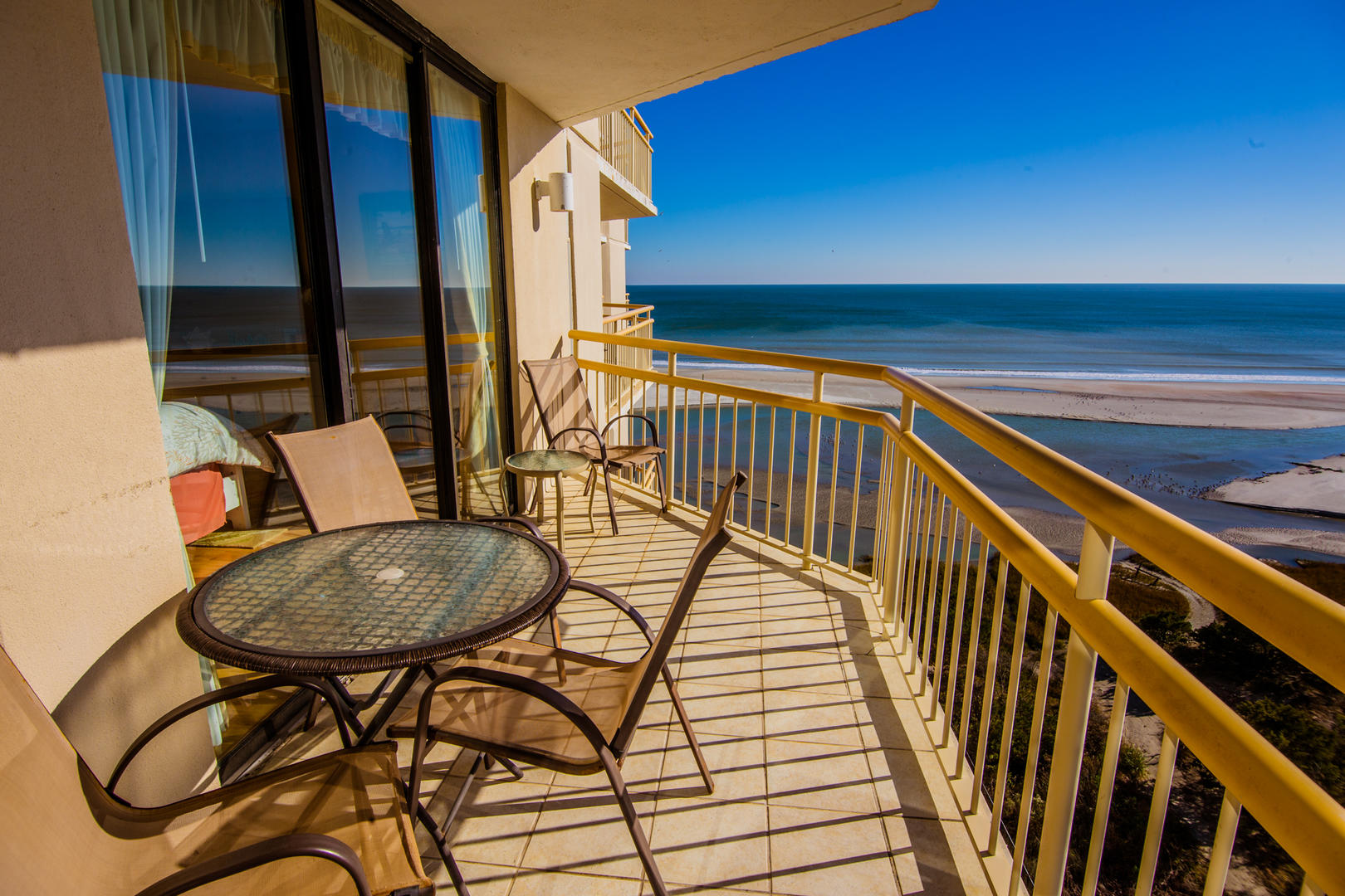 マイセン　インコ　プラーク　トニトコ　東さ7-0304☆2F