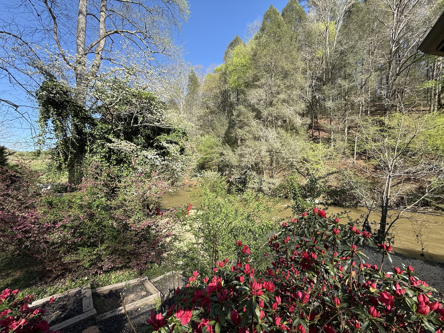 The colors are simply amazing once everything is in bloom!