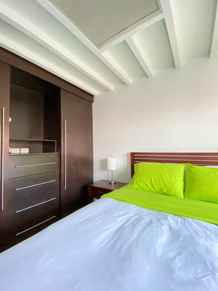 Primary bedroom storage with built-in closet and clean modern lines.