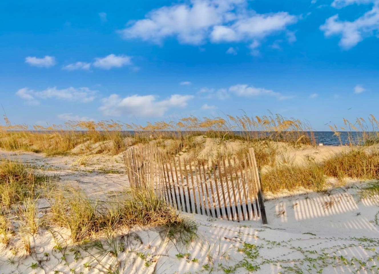Dunes by the beach