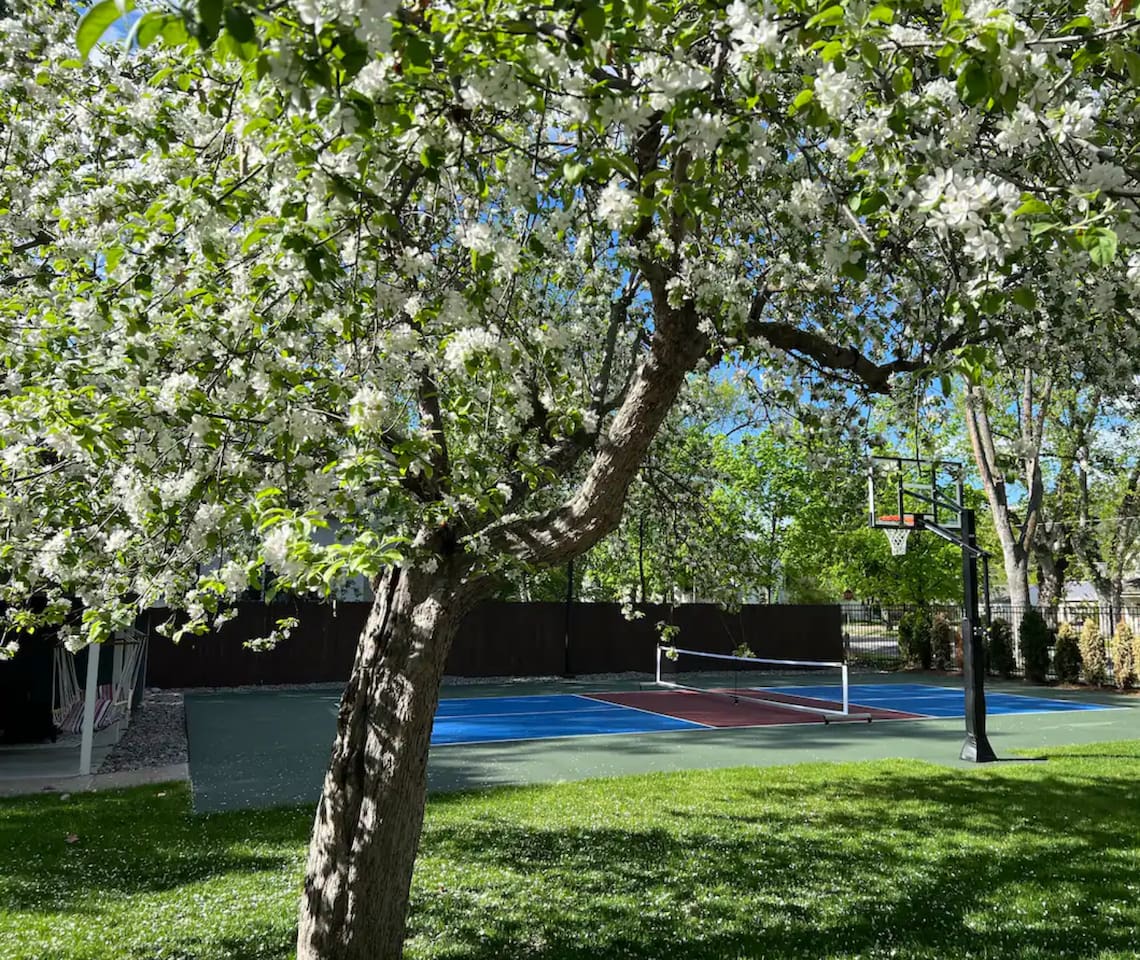 Your own basketball and pickleball courts with night lighting.  Paddles and balls provided.  Find out why everyone loves pickleball!