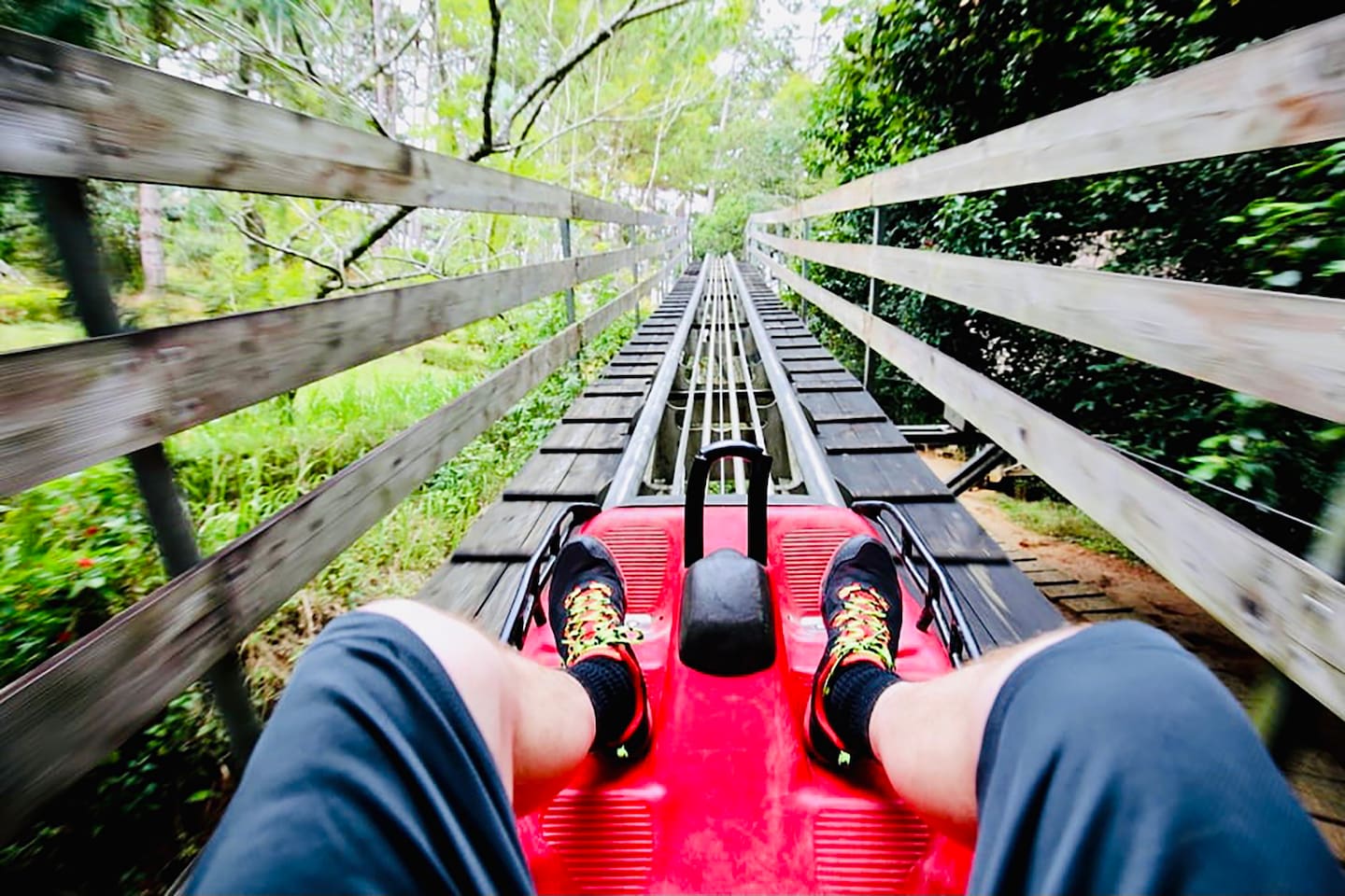 Alpine Coasters in Pigeon Forge and Gatlinburg are a BLAST!