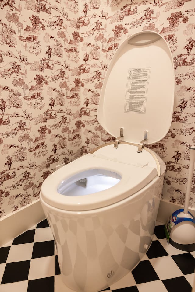 Yes this is a bidet toilet