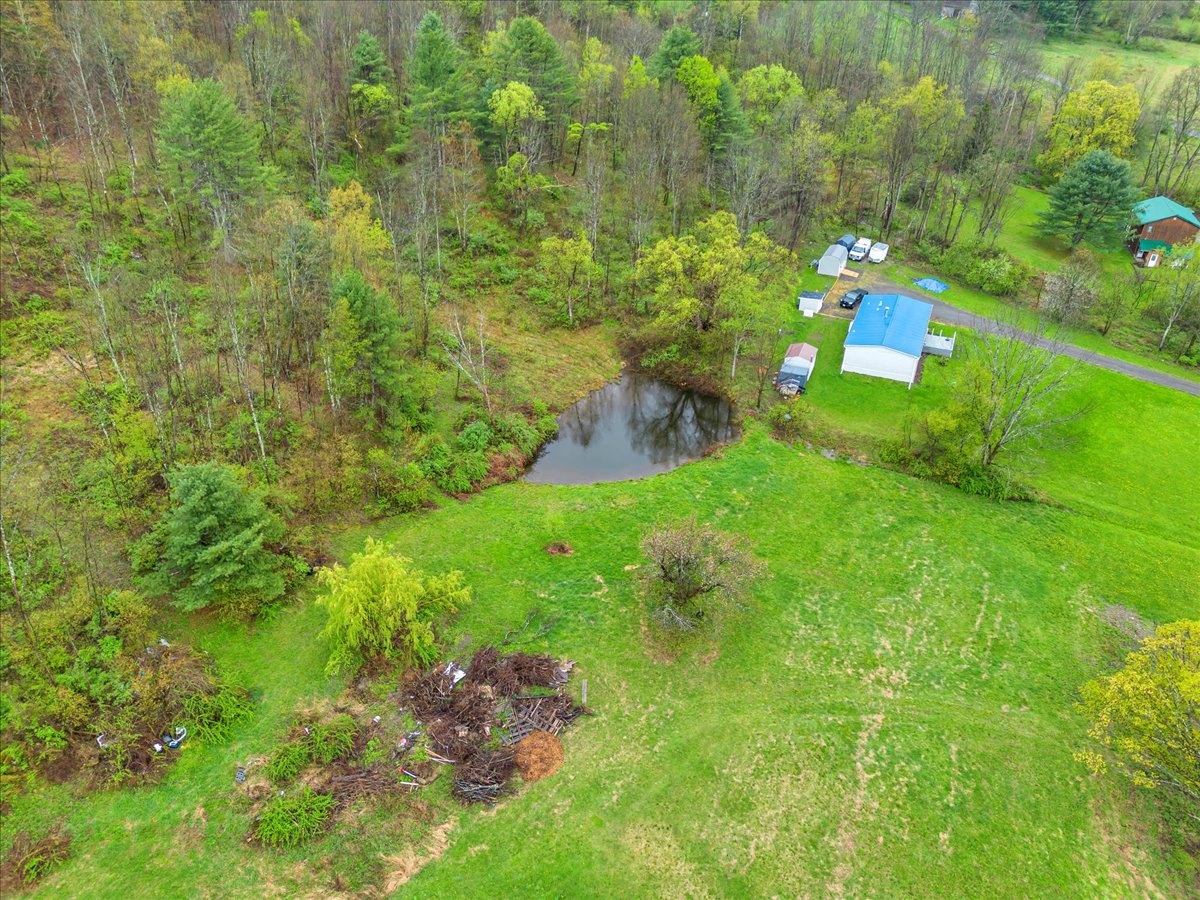 Pond up on hill on property, No fish.