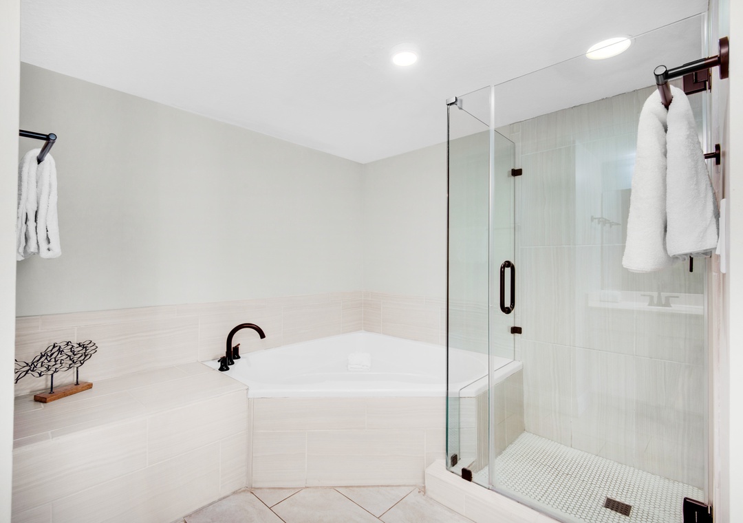 Primary bath tub and shower