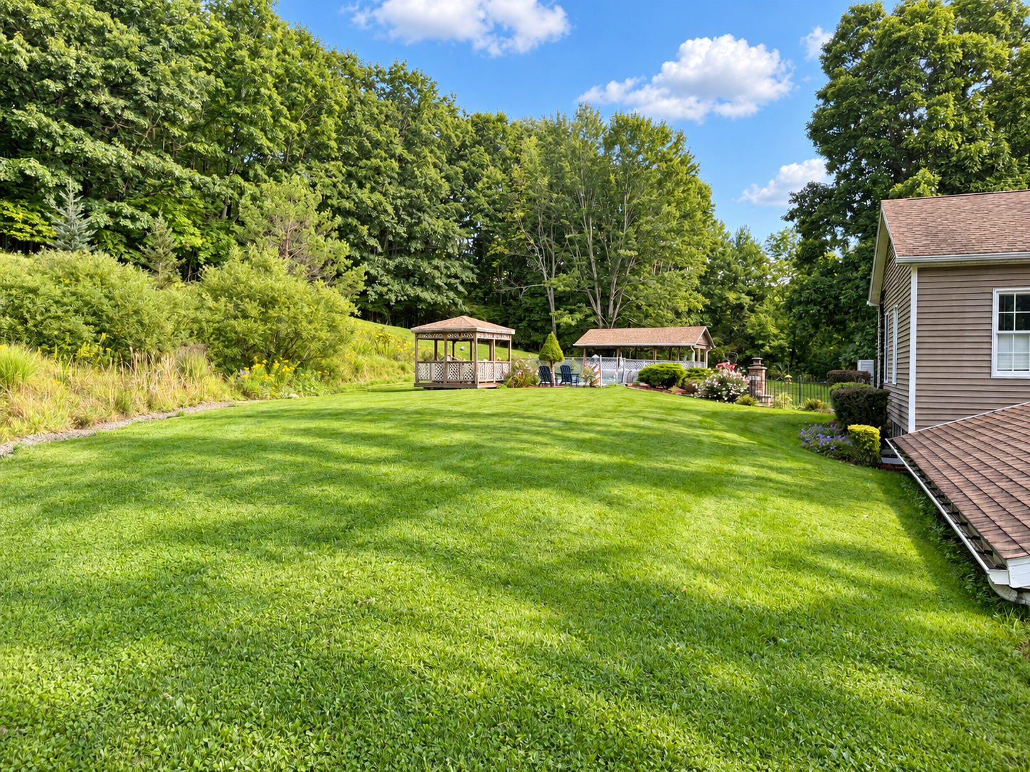 Large back yard