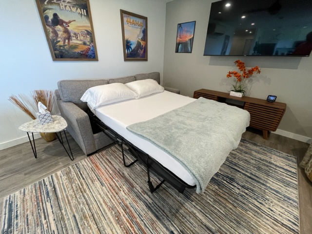 Queen size sleeper sofa