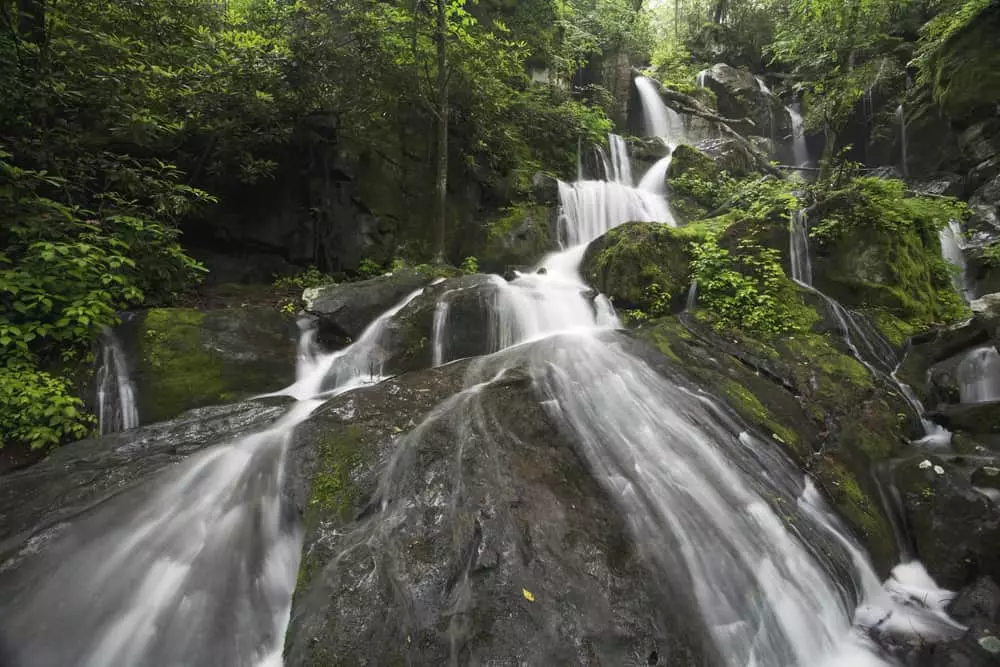 1000 drips falls gsmnp