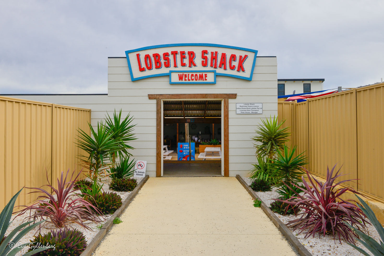 Super popular Lobster Shack in Cervantes - with discount for EWSC members