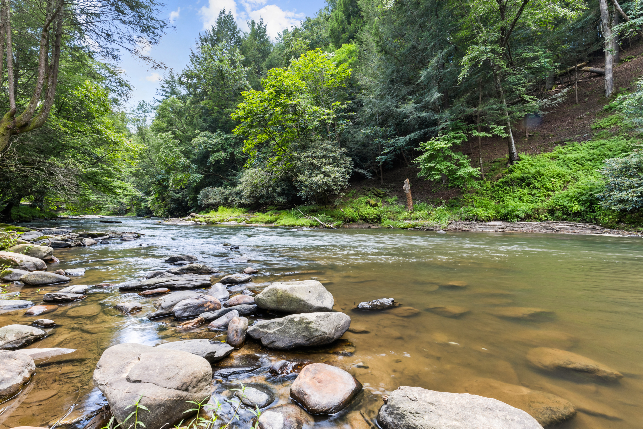 Your private stretch of the Cartecay River is just steps from the cabin.
