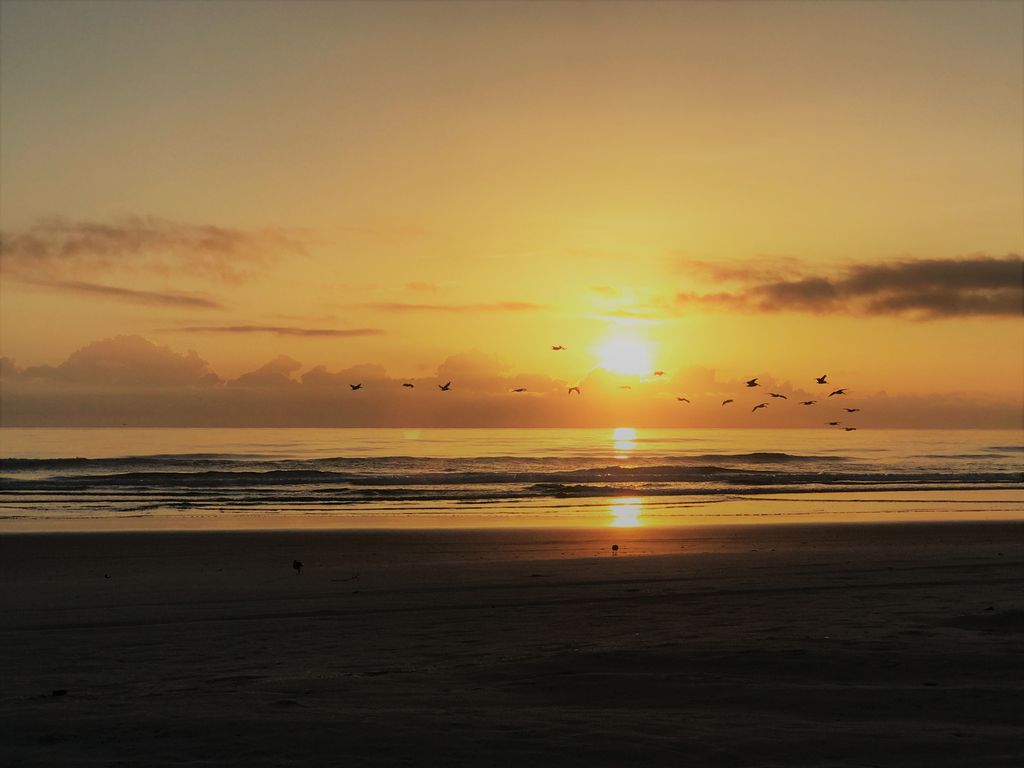 vacation rental condos