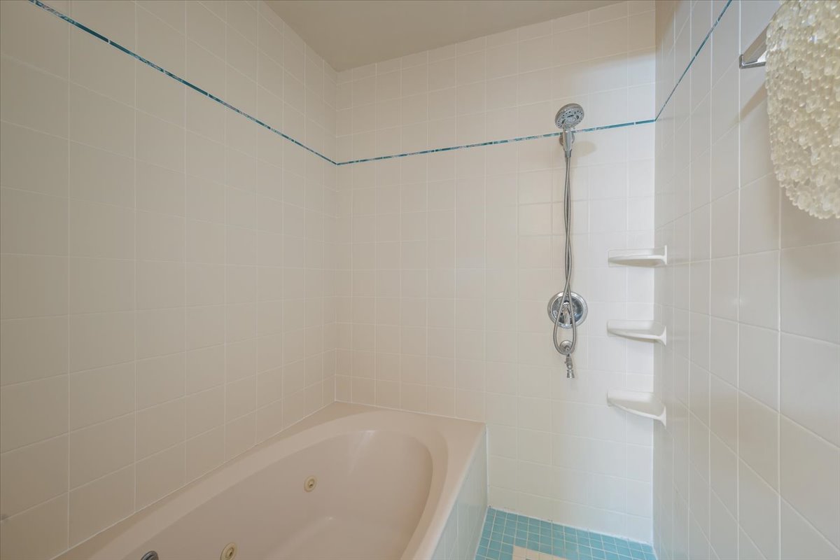 Jetted Tub and Shower 
