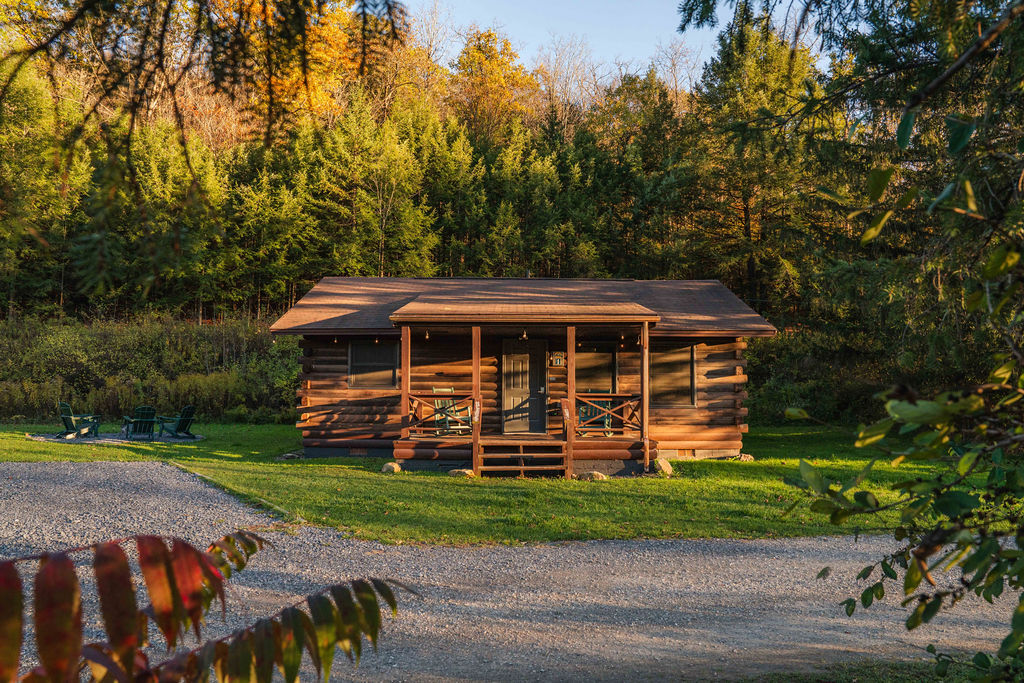 Charming log cabin surrounded by evergreens — the perfect woodland retreat with cozy porch seating.