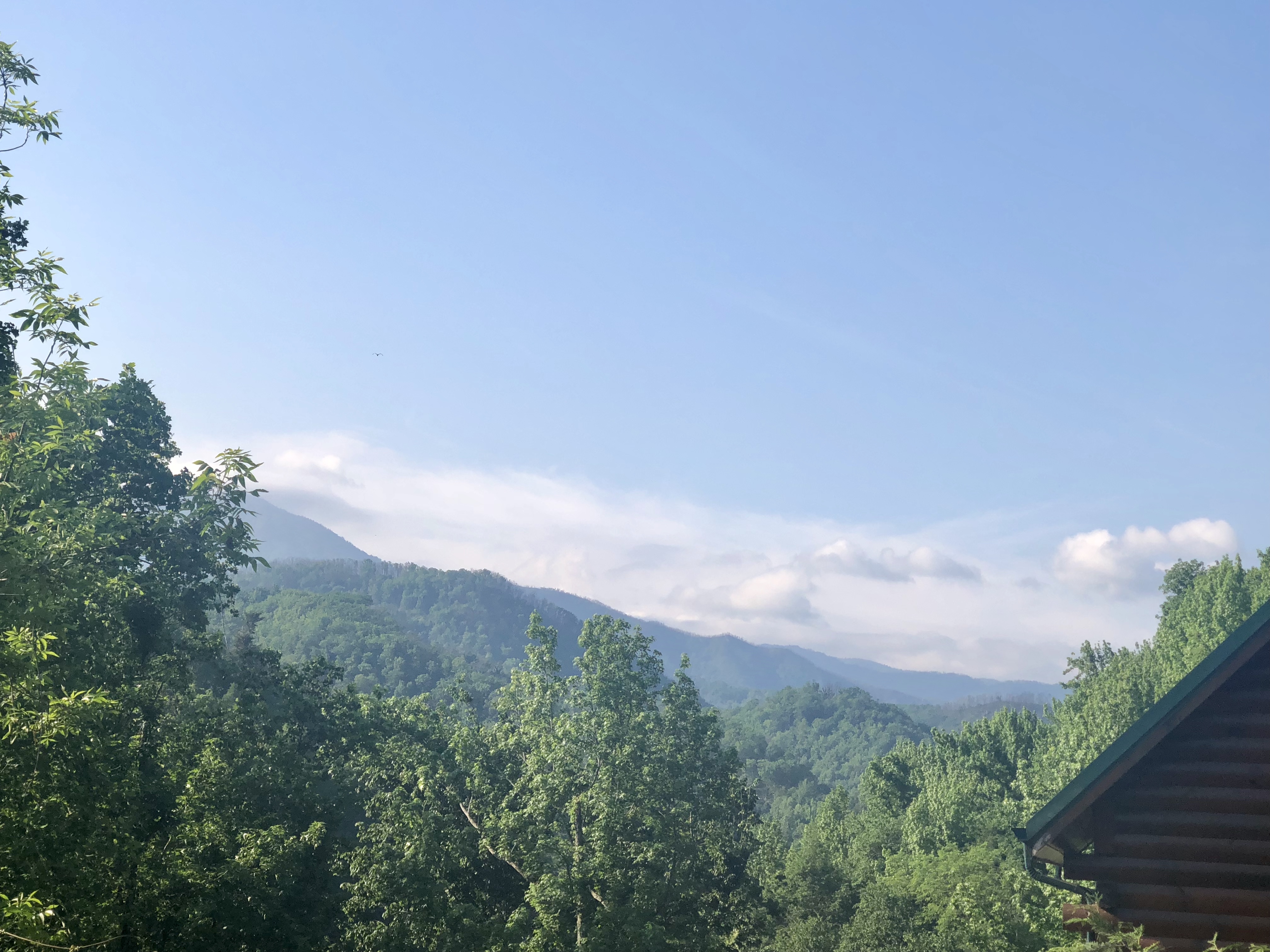 View 3