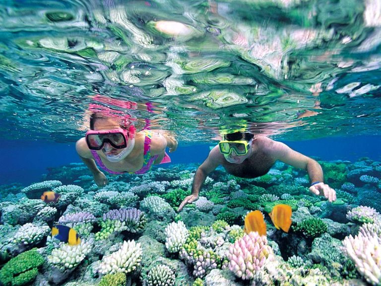 Snorkel crystal-clear waters and explore the natural beauty of St. Andrews State Park—just minutes away. 🐠🌊