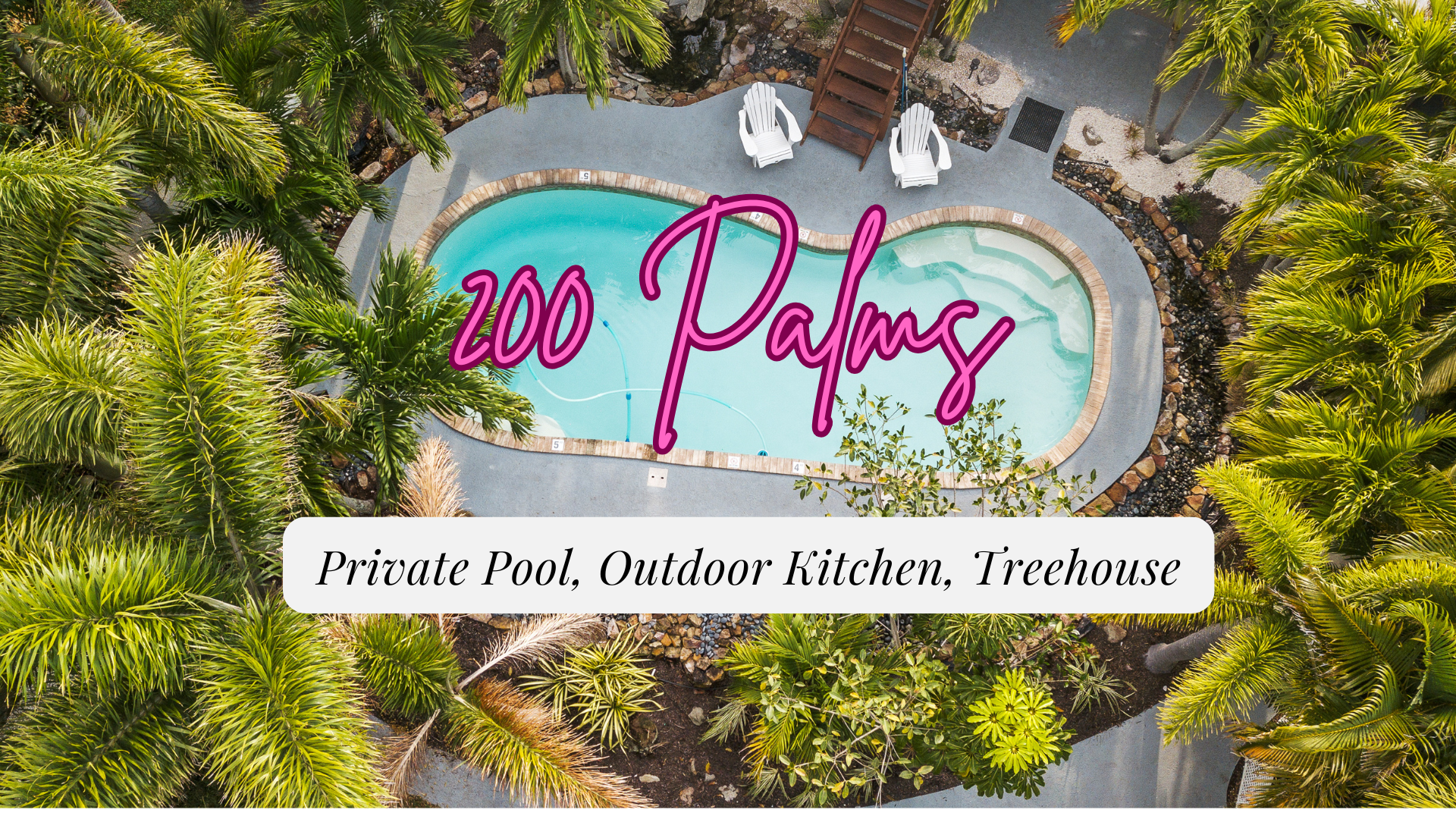 Come enjoy the tropical backyard with the entire family!