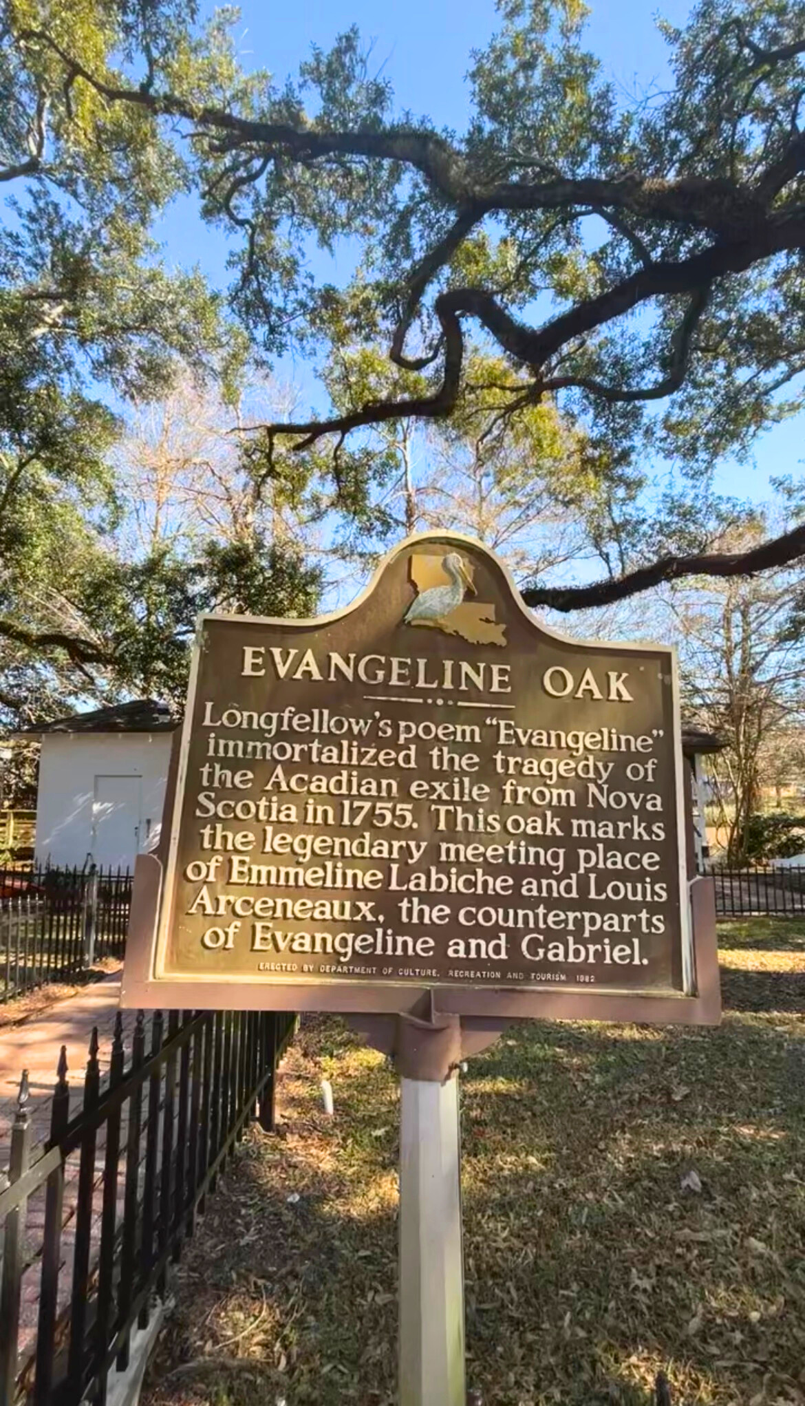 Evangeline Oak Sign