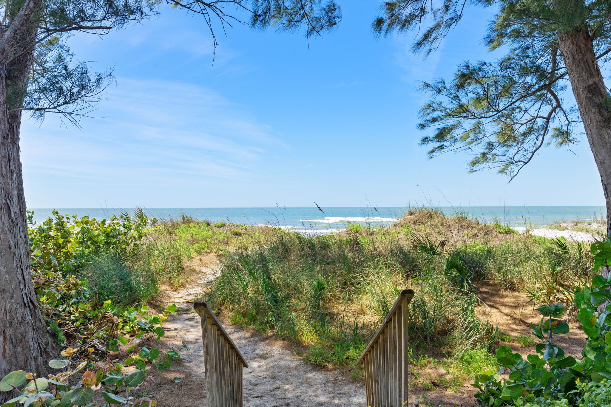 Backyard is the BEACH/Unique Beach House/Beautiful 5