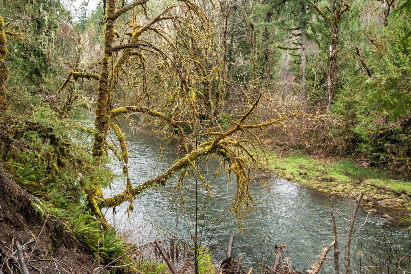 River is across the road from the Airbnb. Great swimming/jumping holes several minutes walk from the Airbnb.