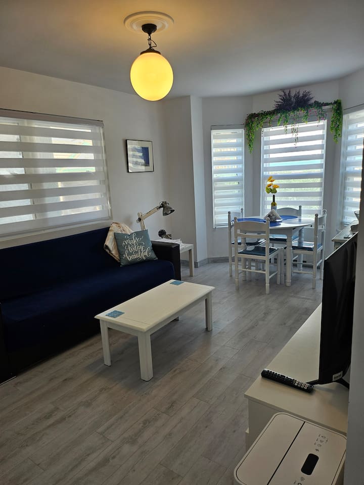 Living area with dining table for 4 guests, futon that folds in a single bed for 1 adult or 2 small children, and app TV.