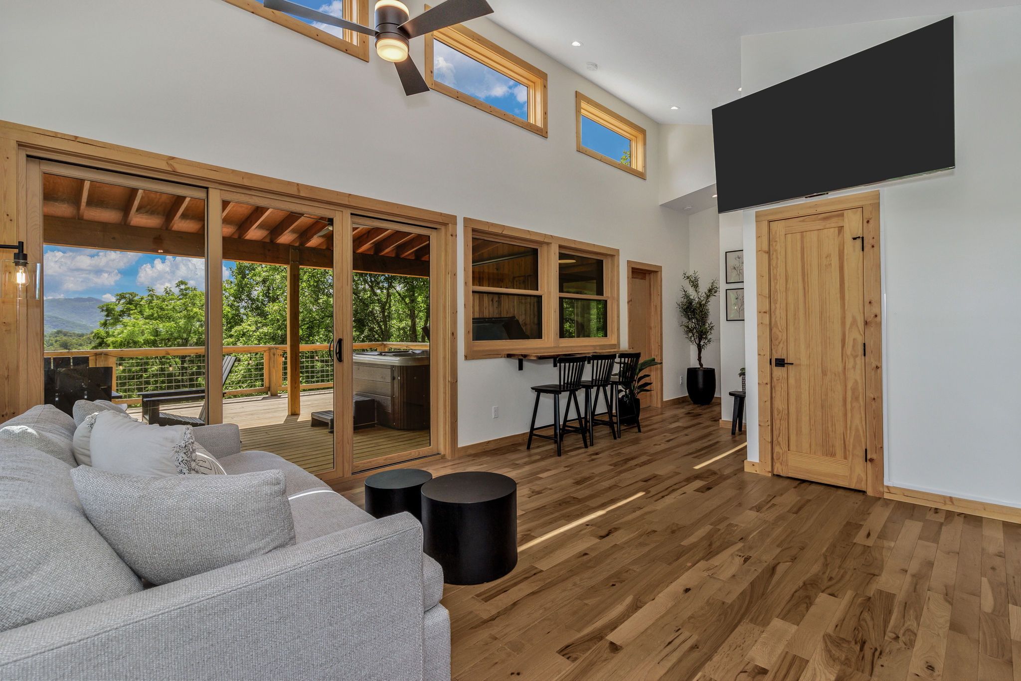 Living Room with Large Smart TV