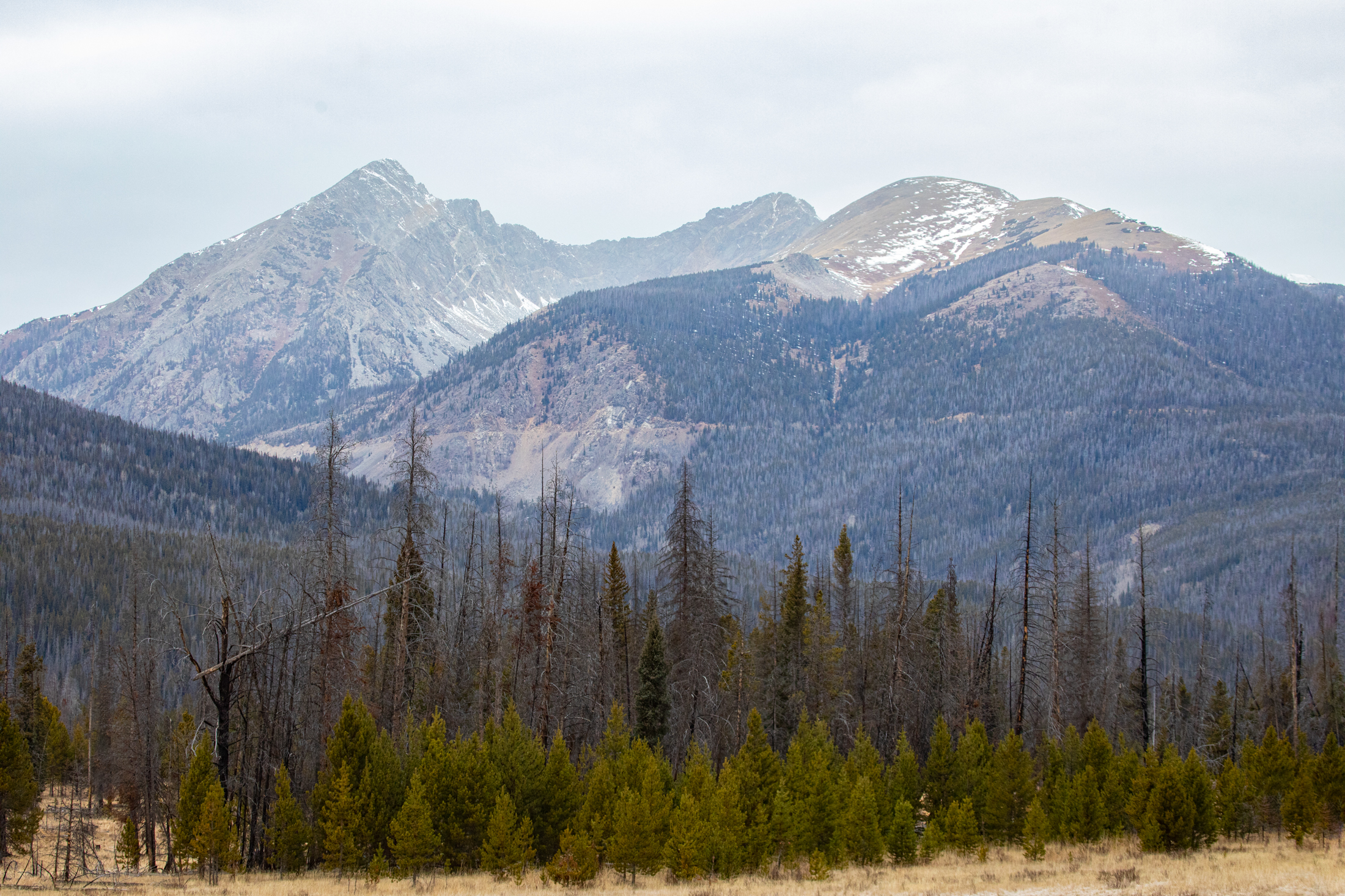 Mountain Views