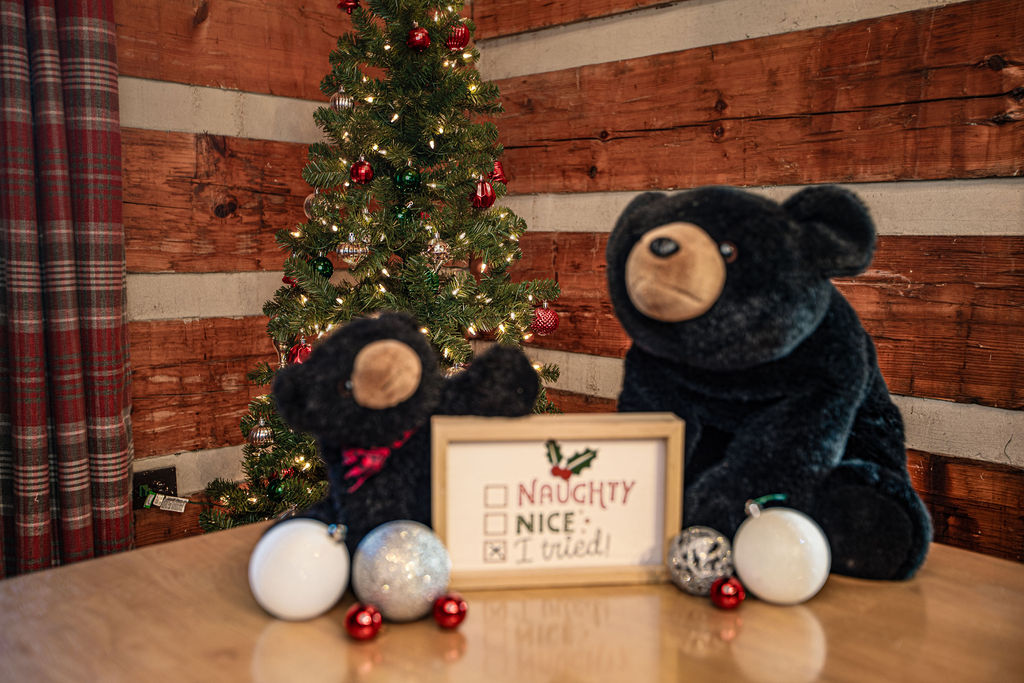 You'll find charming and festive holiday decor throughout the cabin.