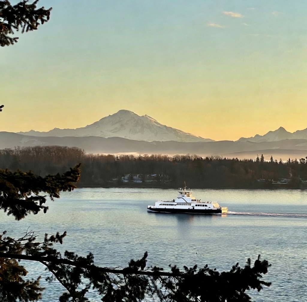 This view is the reason that our guests return to Driftwood Dreams over & over again - it just stays with you.  Watch the ferry come and go & witness Mt. Baker & the Twin Sisters show off in all their glory. Reserve your stay today.