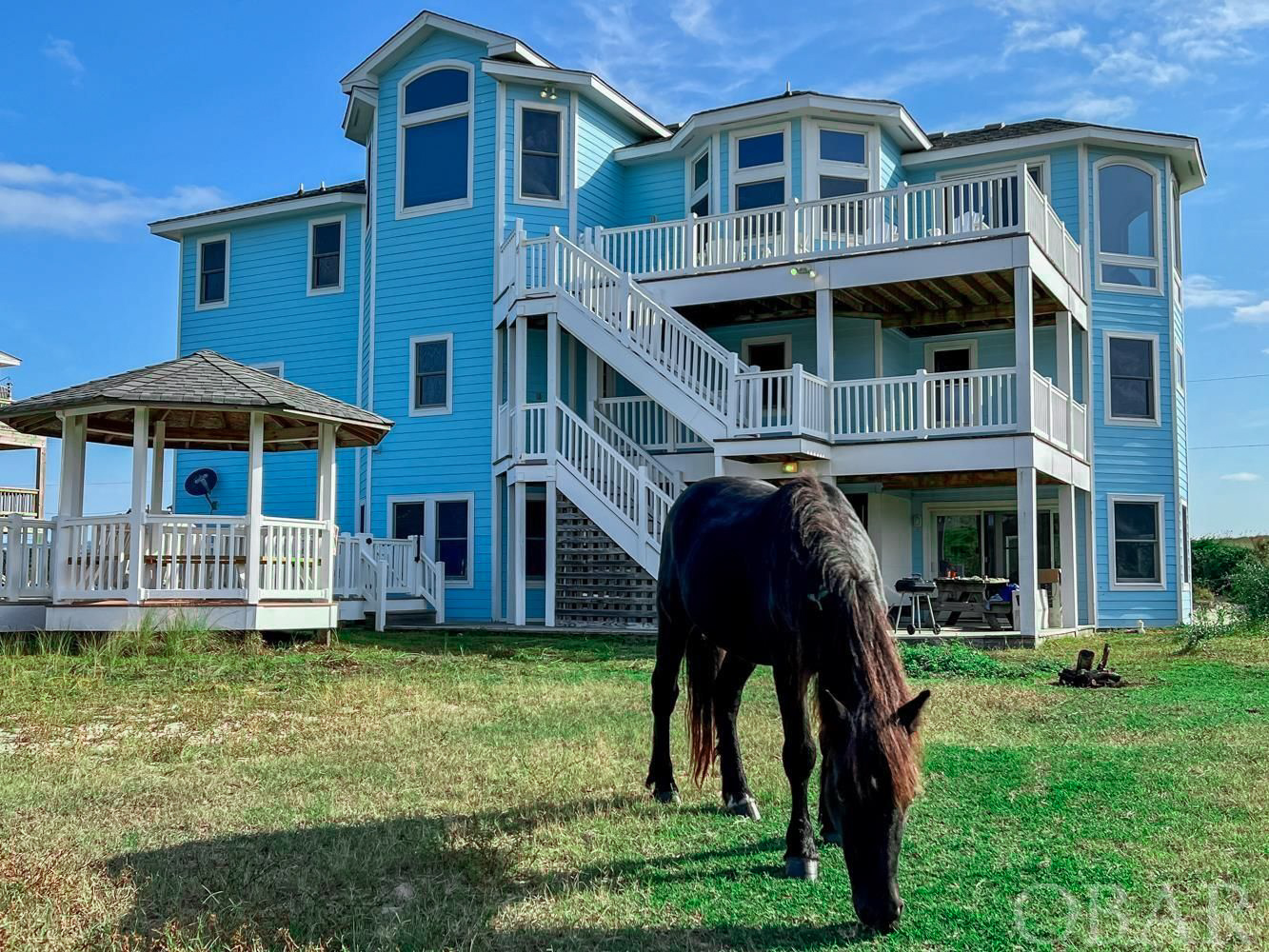 Wild horses roam in the yard almost daily!