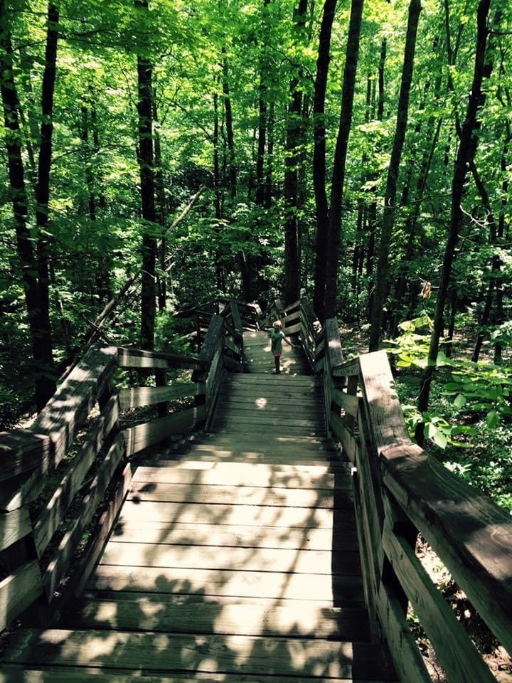 Walking Trails at Stone Mountain
