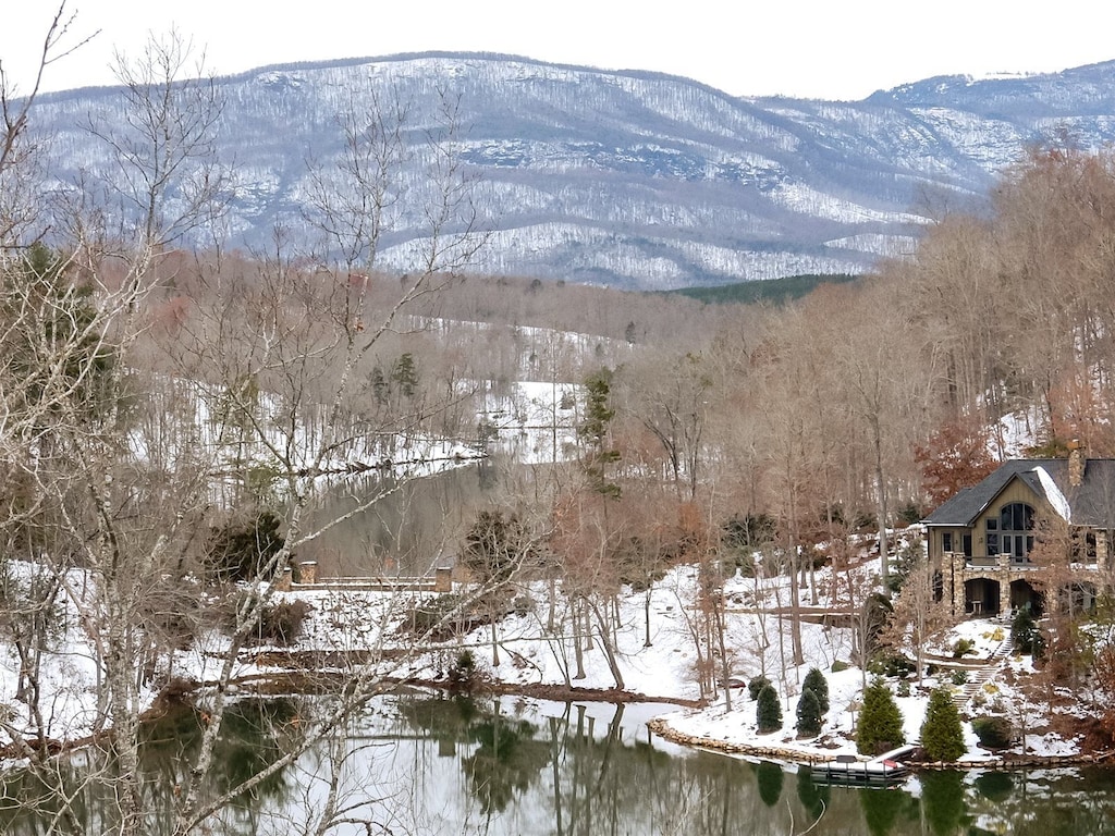 Snow at Thistle Ridge