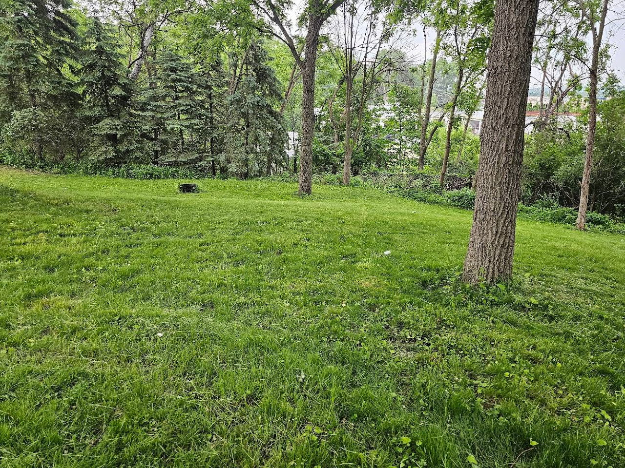 Plenty of room in the backyard for your pet to roam or kids to play