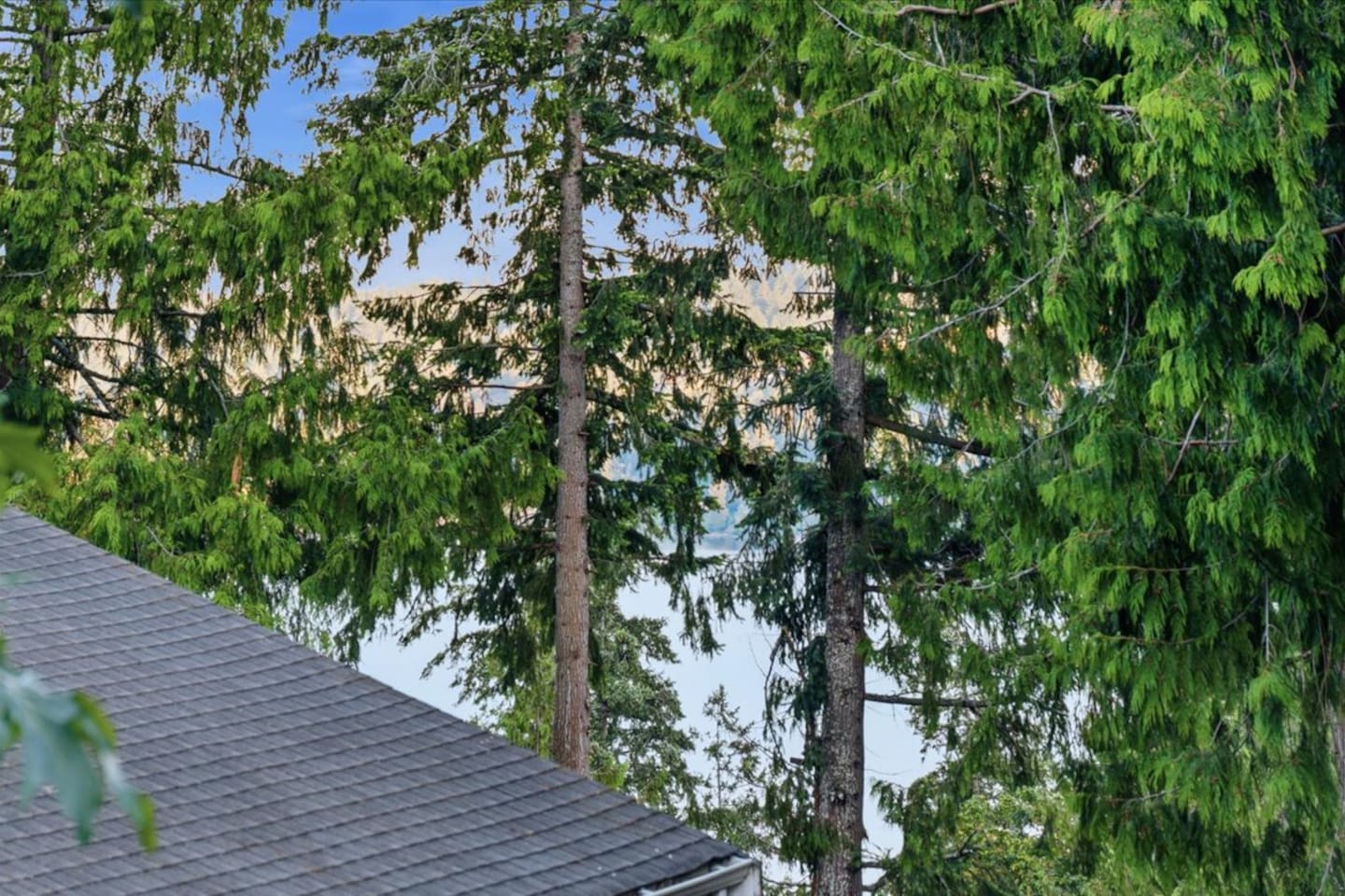 Lake Sammamish Peek-a-boo view