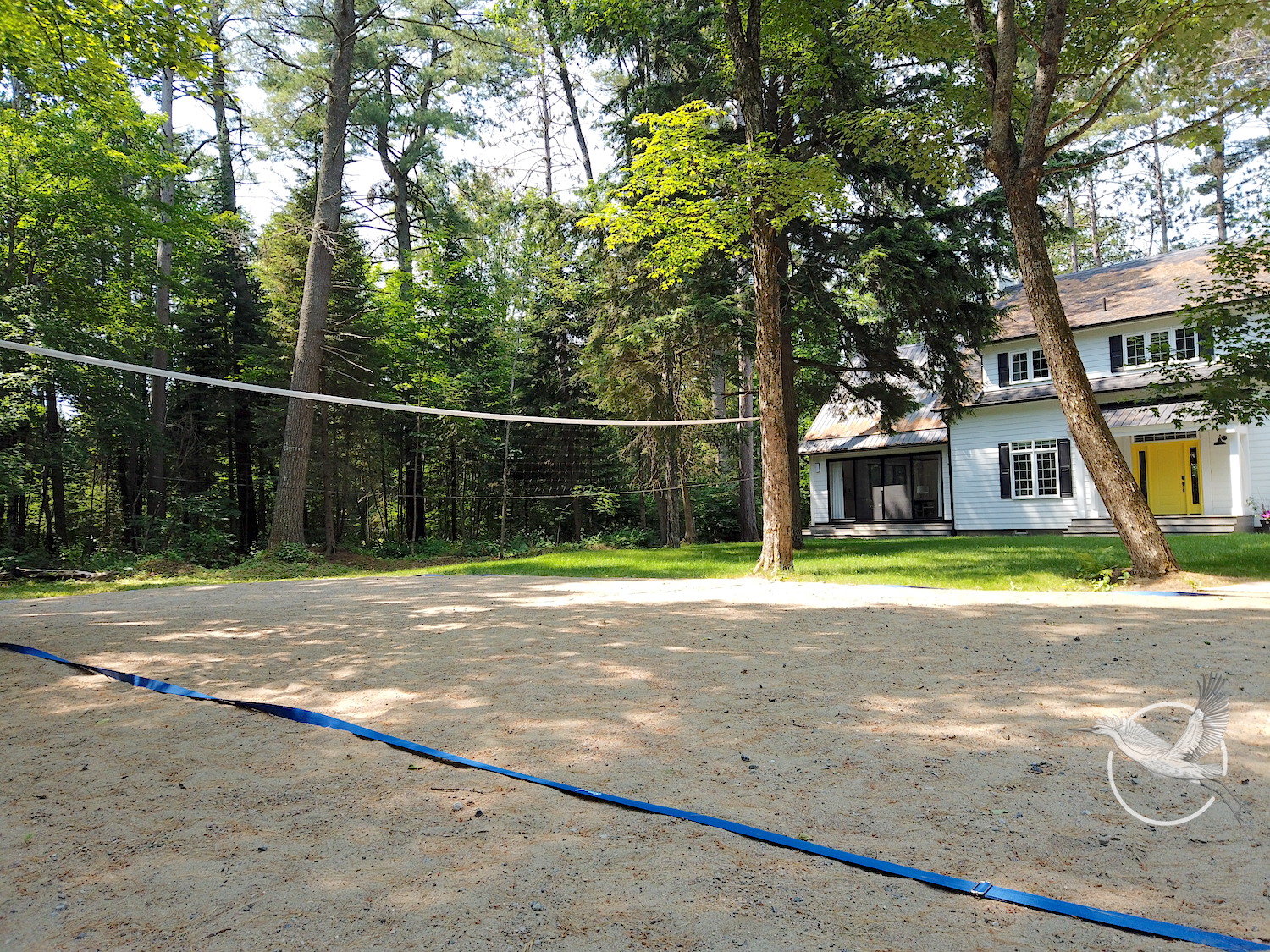 Volleyball court
